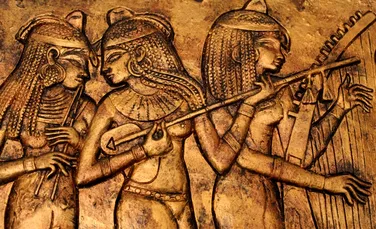 Test de cultură generală. Care este diferența dintre antropologie și sociologie?