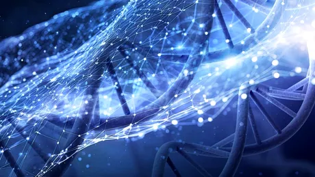 Cercetătorii au identificat segmente neobișnuite de ADN care accelerează evoluția