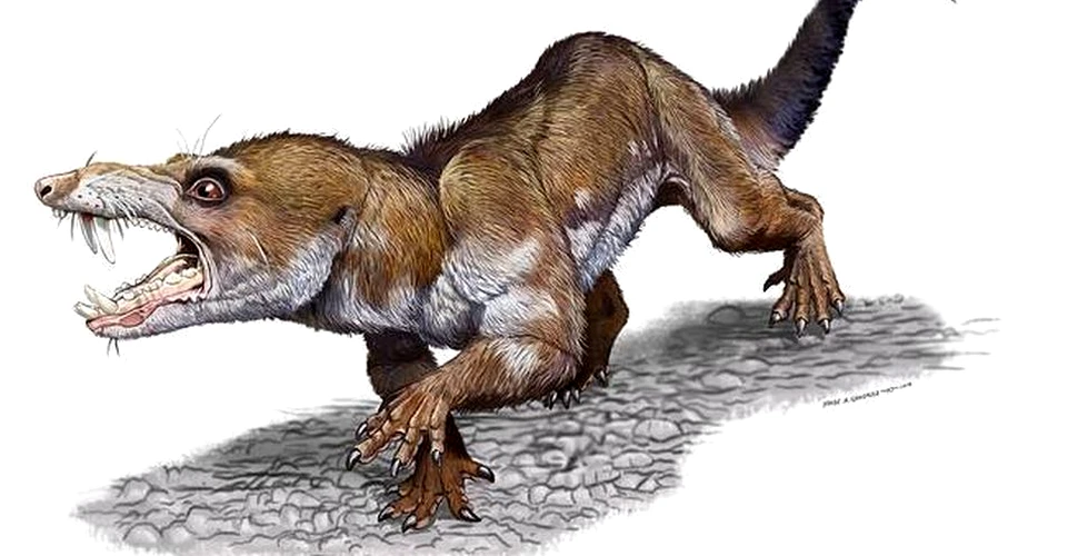 Un animal asemănător cu veveriţa din ”Ice Age” a fost descoperit