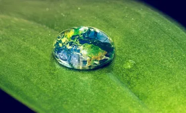 Cum putem să hrănim întreaga lume fără să distrugem planeta?