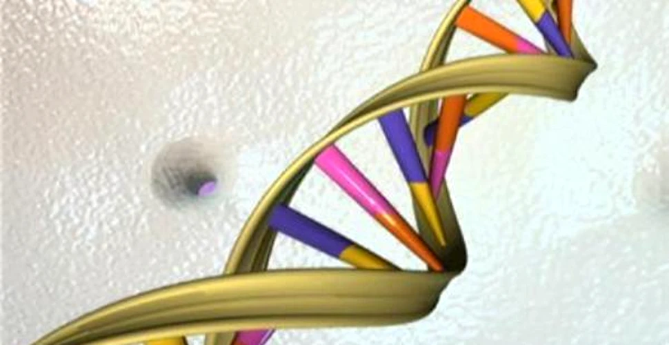Cercetatorii au descifrat radacinile genetice ale cancerului