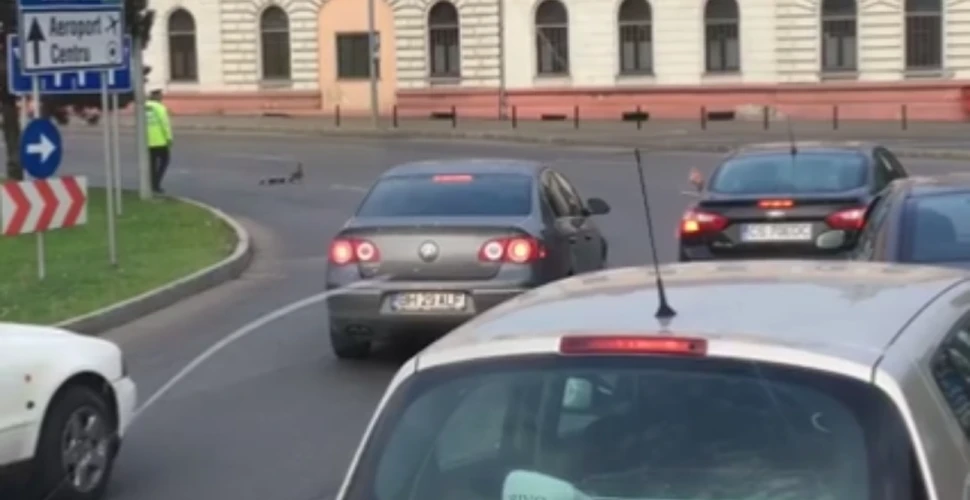 Imagini înduioşătoare în Oradea: un poliţist a oprit traficul pentru mai multe răţuşte – VIDEO