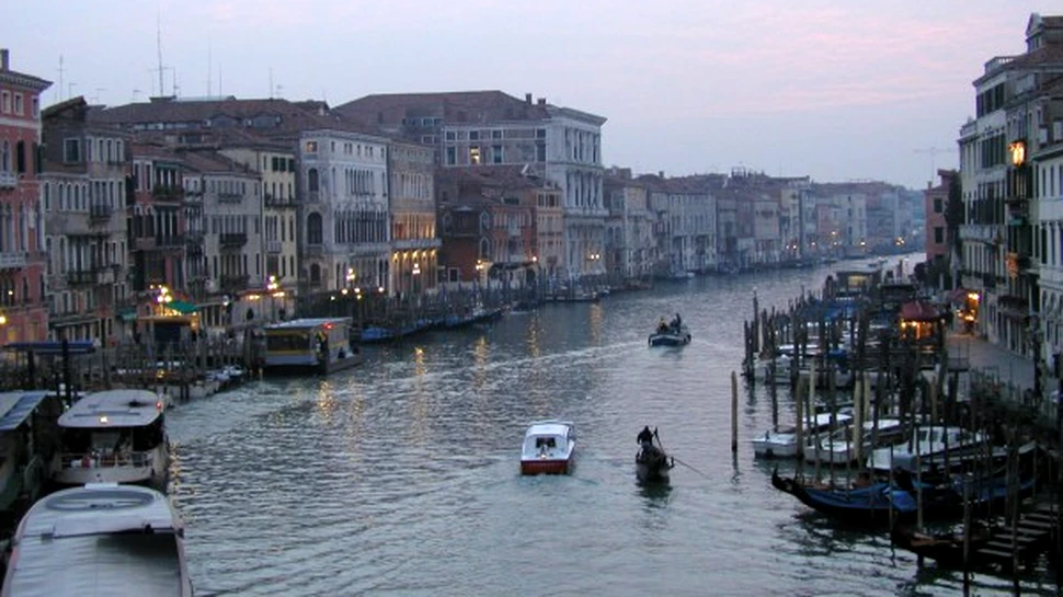 In Venetia se va construi o centrala electrica alimentata cu alge
