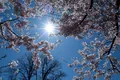 Prognoza actualizată de la ANM: Cât de caldă va fi vremea și unde va ploua?