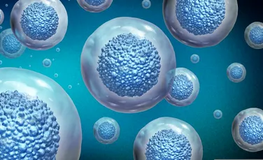 Un microorganism cu o abilitate remarcabilă trăiește în cele mai ostile lacuri ale Pământului