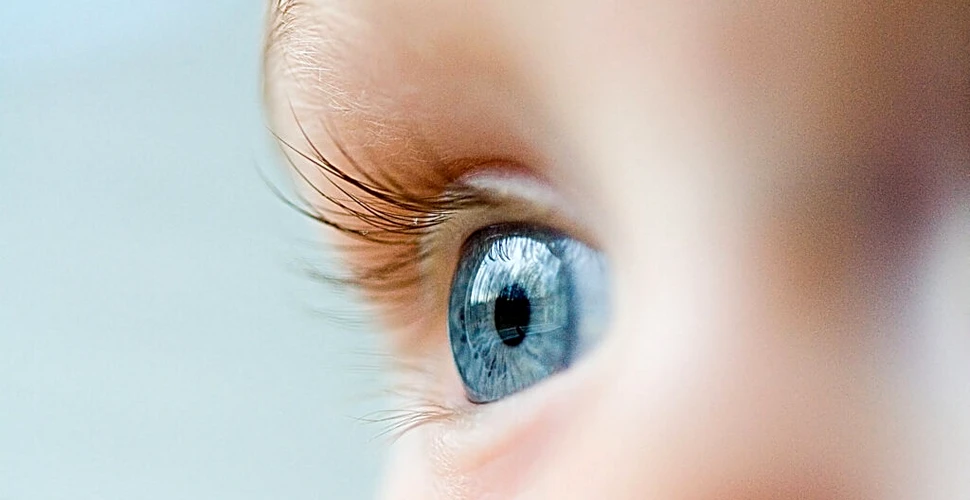 Ochii copiilor ar putea dezvălui dacă aceștia au autism