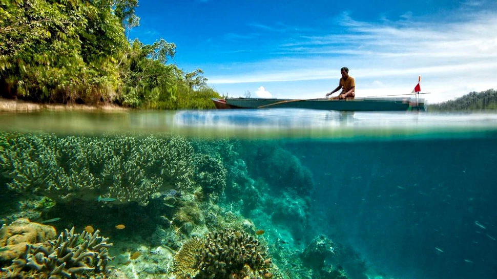 A fost identificată o nouă cauză pentru care recifele de corali mor. În mod evident, tot oamenii se află în spatele acesteia