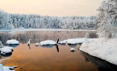 Siberia, un fost refugiu al animalelelor sălbatice