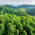 Vacanța perfectă de toamnă: iată cele mai bune trasee de mers pe munte!