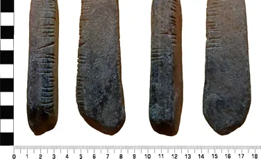 Un bărbat a făcut descoperirea vieții în grădina casei: o piatră cu inscripții, veche de 1.600 de ani