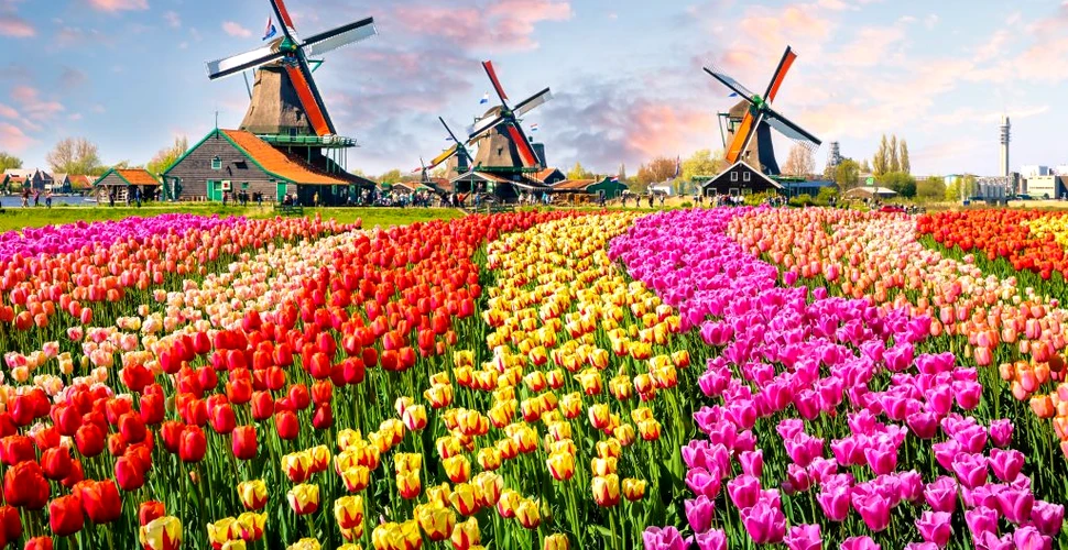 Țările de Jos, o scurtă istorie a uneia dintre cele mai mici țări europene