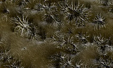 “Păianjenii” de pe Marte: ce sunt aceste bizare formaţiuni care nu seamănă cu nimic din ceea ce există pe Terra?