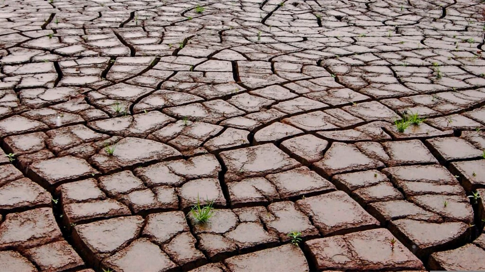 Fenomenul El Niño ar fi provocat cea mai mare extincție în masă de pe Pământ