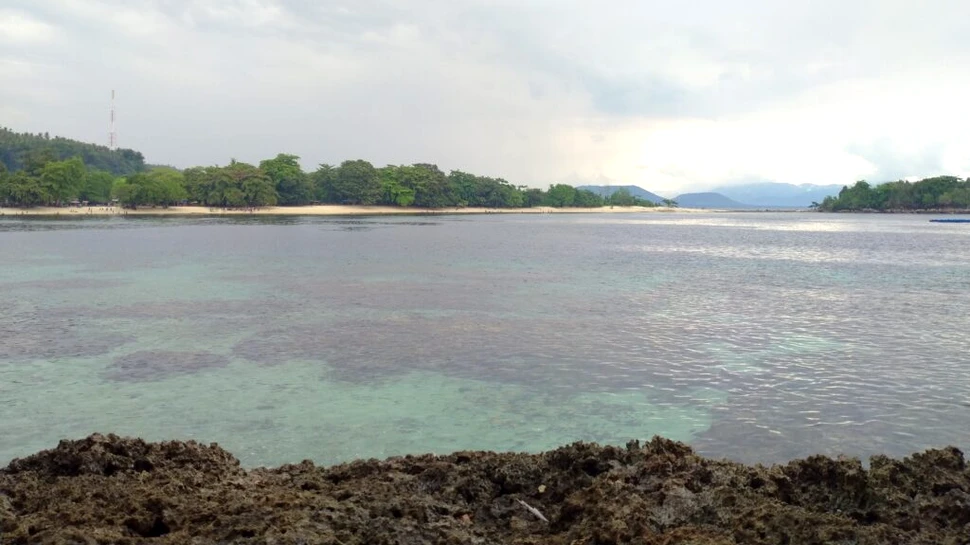 O specie de somn s-a adaptat de minune în apele poluate ale Indoneziei