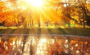 Iată cum lumina naturală poate să ajute diabeticii!