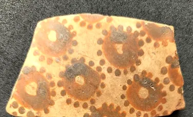 Cea mai veche artă botanică cunoscută dovedește o gândire matematică timpurie