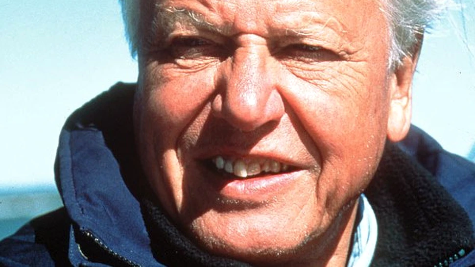 Sir David Attenborough: Suprapopularea e sursa  tuturor problemelor de mediu