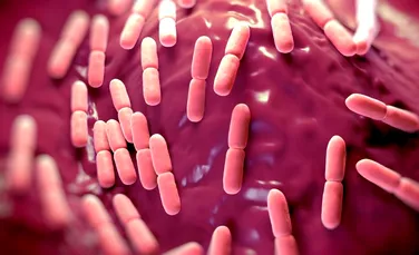 Soluţie inedită pentru învingerea super-bacteriilor, pe care niciun antibiotic nu le poate distruge