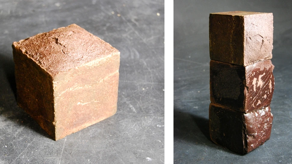 Sângele, principalul component al unui material de construcţii