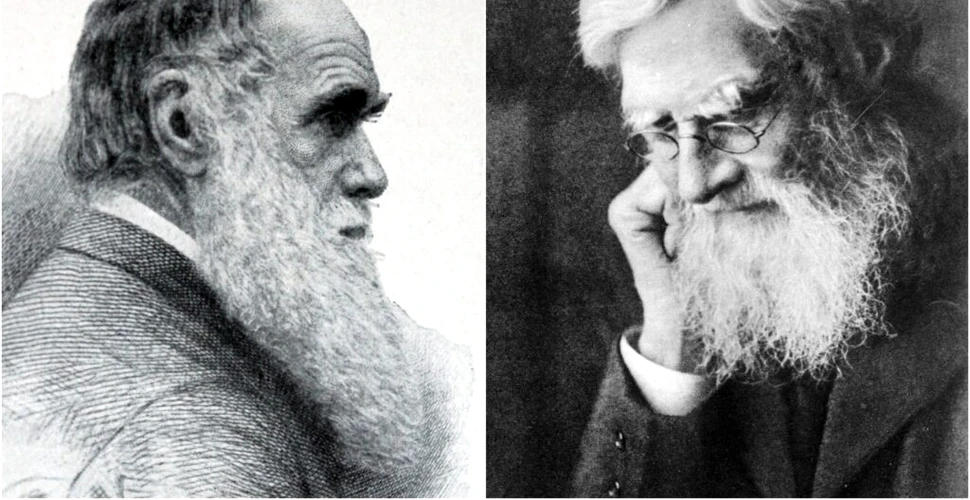 Alfred Russel Wallace, rivalul și în același timp prieten al lui Charles Darwin