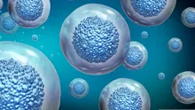 Un microorganism cu o abilitate remarcabilă trăiește în cele mai ostile lacuri ale Pământului