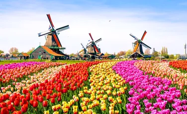 10 lucruri pe care sigur nu le ştiai despre Olanda