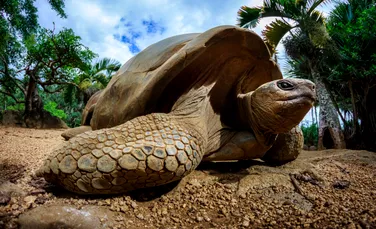 Moment istoric la o grădină zoologică din SUA