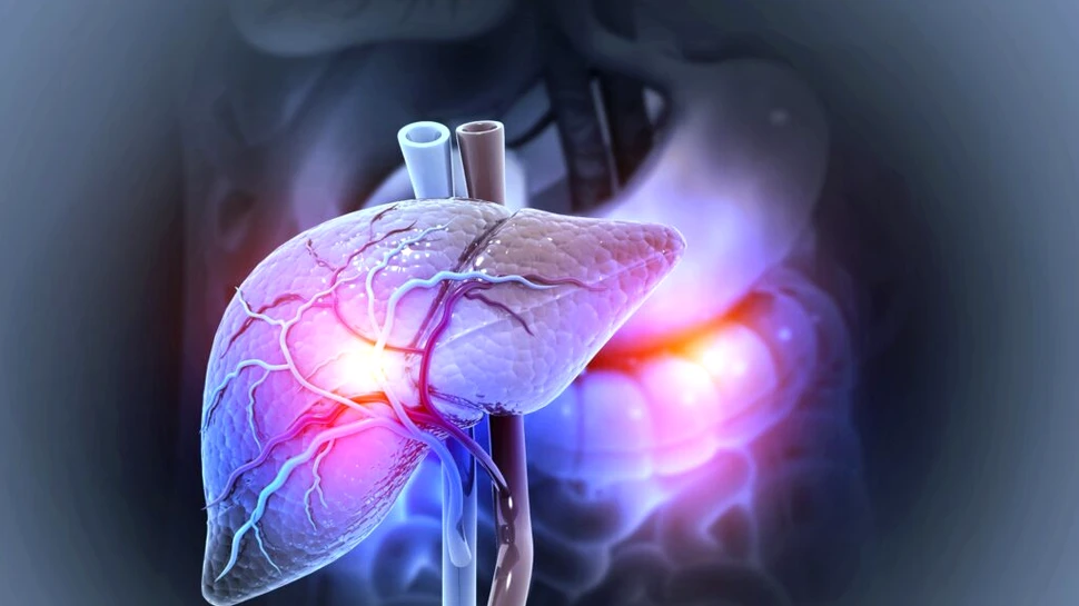 Boala ficatului gras, în creștere: 1,8 miliarde de persoane ar putea fi afectate până în 2050