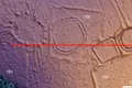 Ruinele unei civilizații uitate, descoperite cu ajutorul tehnologiei LiDAR în pădurea amazoniană