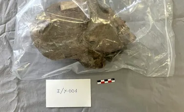 Un cap mumificat din Bolivia, vechi de 350 de ani, nu este ce au crezut cercetătorii