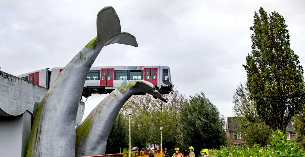 Accident spectaculos: Un tren a deraiat și a rămas suspendat la 10 metri înălțime, în sculptura unei balene