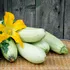 Test de cultură generală. Care este diferența dintre zucchini și castravete?
