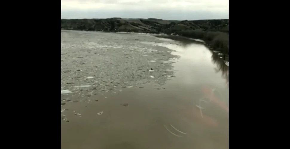 Descoperirea bizară pe o bucată de gheaţă din mijlocul unui râu cei care filmau o catastrofă naturală din SUA – VIDEO