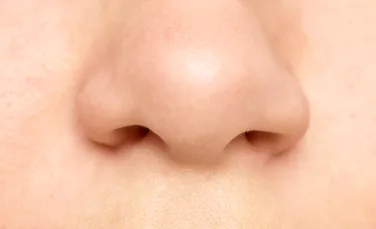 Un profesor de anatomie explică de ce o nară este mai dominantă decât cealaltă