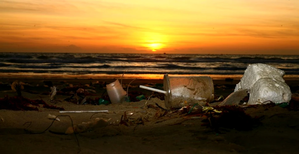 Plasticul prezintă urme minime de degradare chiar și după 20 de ani, în adâncurile mării