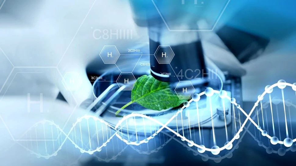Universităţile din Timişoara au câştigat ambele premii Scopus Awards Romania din 2017, pentru contribuţiile aduse cercetării pe plan internaţional