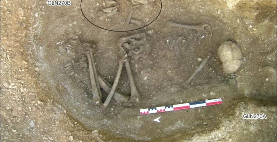Europenii din Neolitic erau monogami, dezvăluie ADN-ul vechi de 7.000 de ani