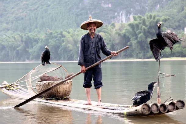 Pescar cu cormorani pe lacul Baoding