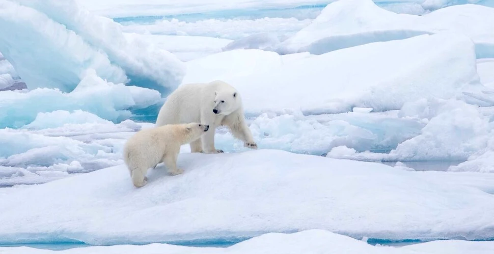 Creșterea temperaturilor dublează rata de precipitații din Arctica, arată un nou studiu