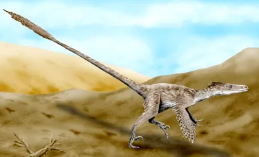 Un nou studiu explică de ce Jurassic Park nu va putea deveni niciodată realitate
