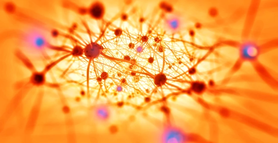 Ar putea fi energia cheia pentru înțelegerea bolii Alzheimer?