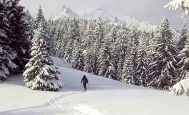 Descoperă România Sălbatică! Cel mai frumos munte din  Carpaţii de Curbură – Masivul Ciucaş. VIDEO