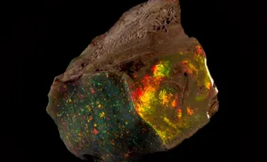 După 70 de ani, ”Focul Australiei”, una dintre cele mai frumoase roci de opal a fost în sfârşit expusă la muzeu. ”Este cel mai frumos exemplar”