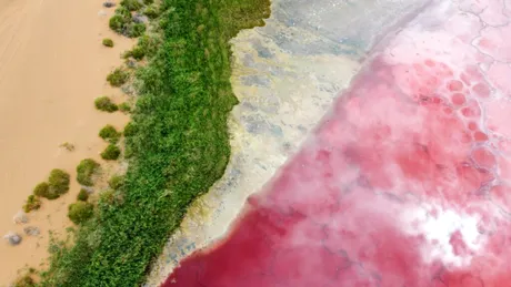 De ce apa unui lac dintr-un deșert din China a devenit brusc roz?