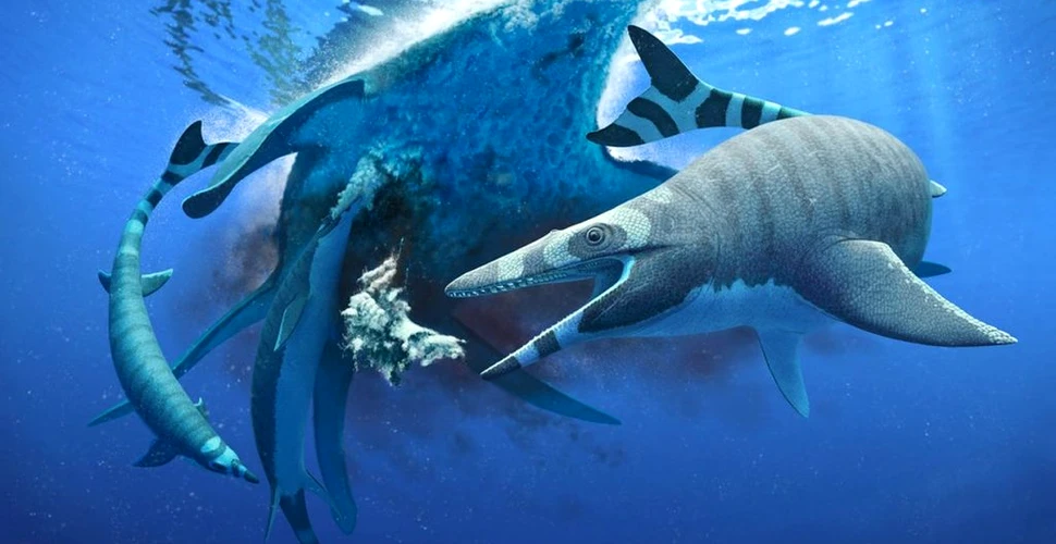 Un „mini-monstru marin” descoperit recent avea dinții la fel de ascuțiți ca o lamă de fierăstrău
