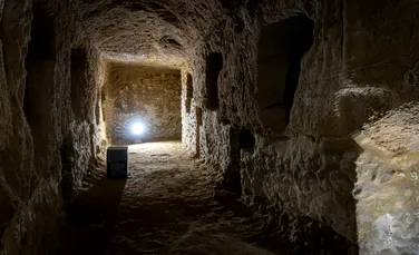 De ce au fost opt milioane de câini îngropați în catacombele lui Anubis?