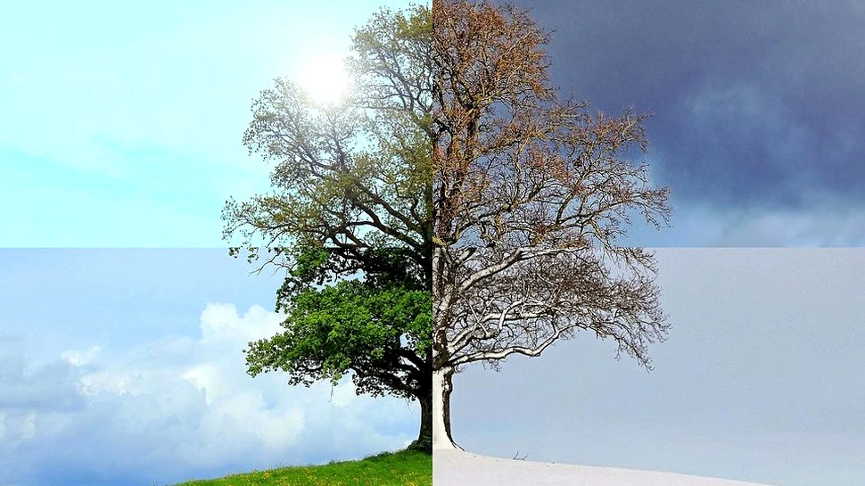 Pământul are plămâni, priveşte-i cum respiră-VIDEO