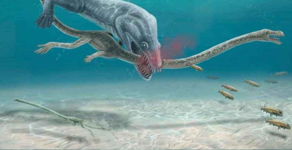Reptilele marine din vremea dinozaurilor aveau o slăbiciune ce era adesea fatală