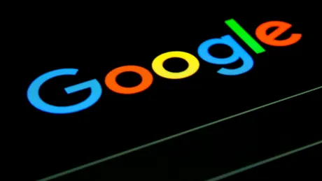 Acuzații grave pentru Google: ar fi tăiat ilegal 250.000 de copaci în nordul Finlandei