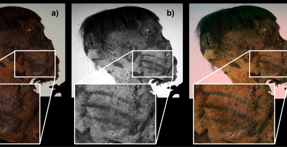 Tatuaje uimitoare au fost găsite pe o mumie andină veche de 800 de ani